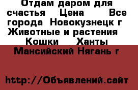 Отдам даром для счастья. › Цена ­ 1 - Все города, Новокузнецк г. Животные и растения » Кошки   . Ханты-Мансийский,Нягань г.